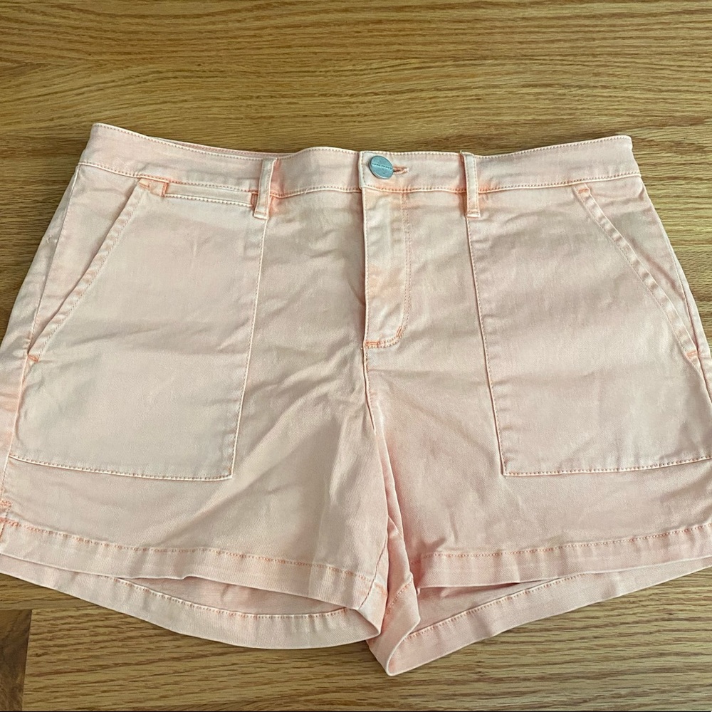 Anthropologie Sanctuary shorts